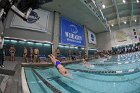Swimming & Diving vs RWU  Swimming & Diving vs Roger Williams University. - Photo by Keith Nordstrom : Wheaton, Swimming